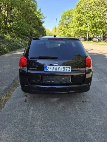 Opel Signum 2010 photo 3