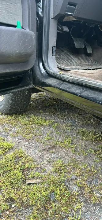 Ford F-150 2010 photo 3