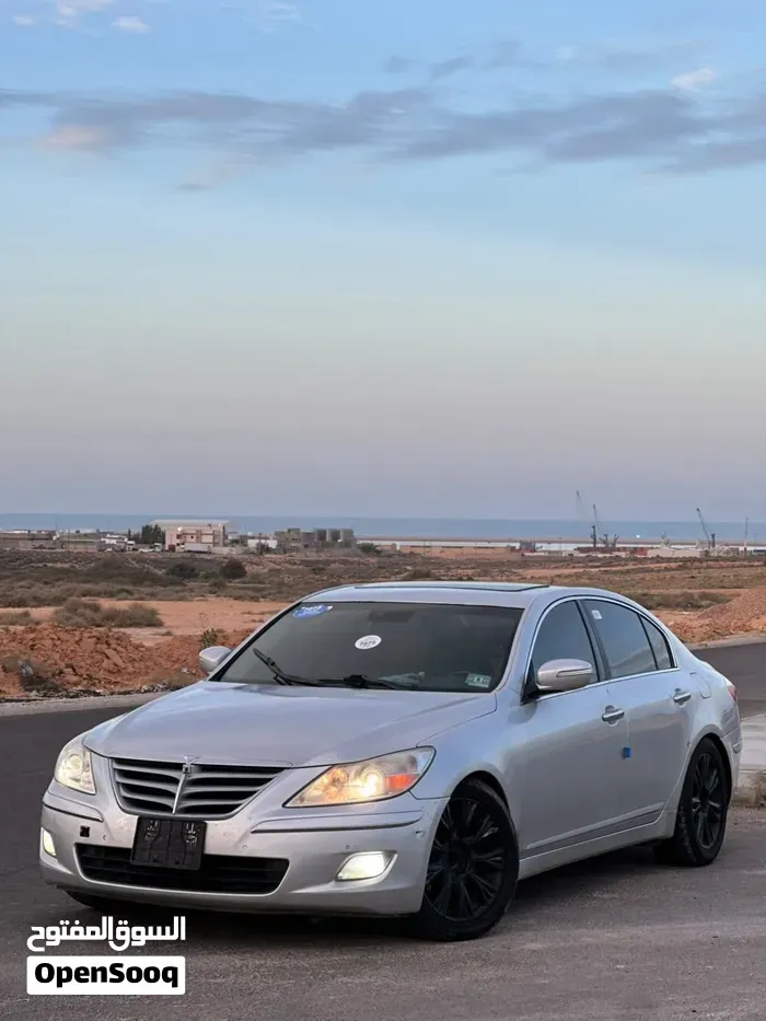 Genesis Sonata 2010 photo 2