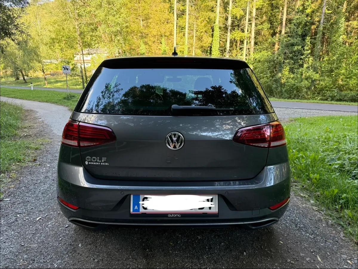 Volkswagen Golf 2019 photo 3