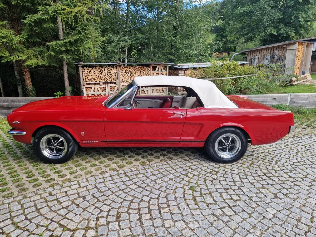 Ford Mustang 1966 photo 2
