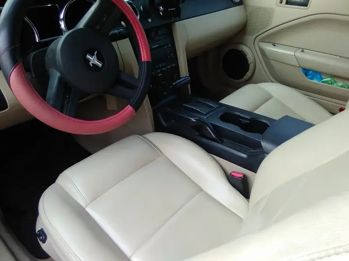Ford Mustang 2007 photo 2