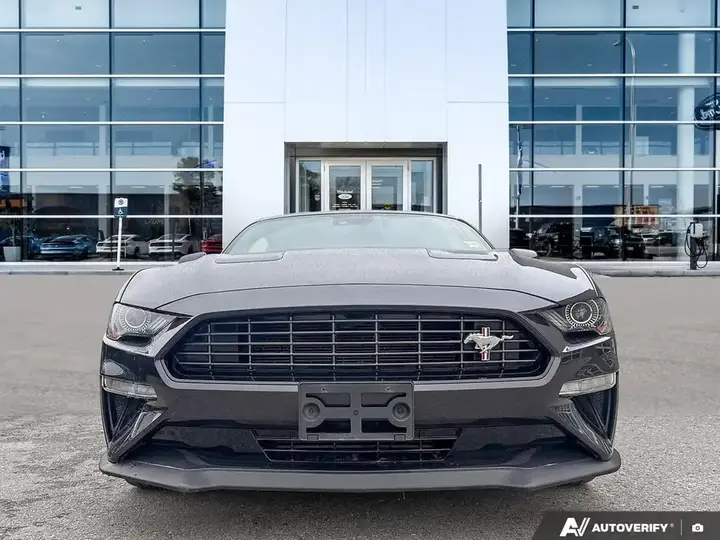 Ford Mustang 2022 photo 3