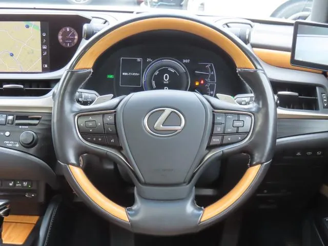 Lexus Es300H 2019 photo 3