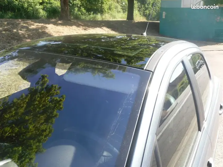 Peugeot 207 2007 photo 2