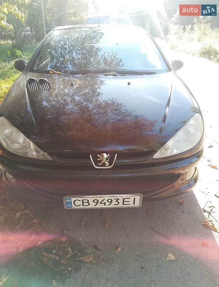 Peugeot 206 2006 photo 3