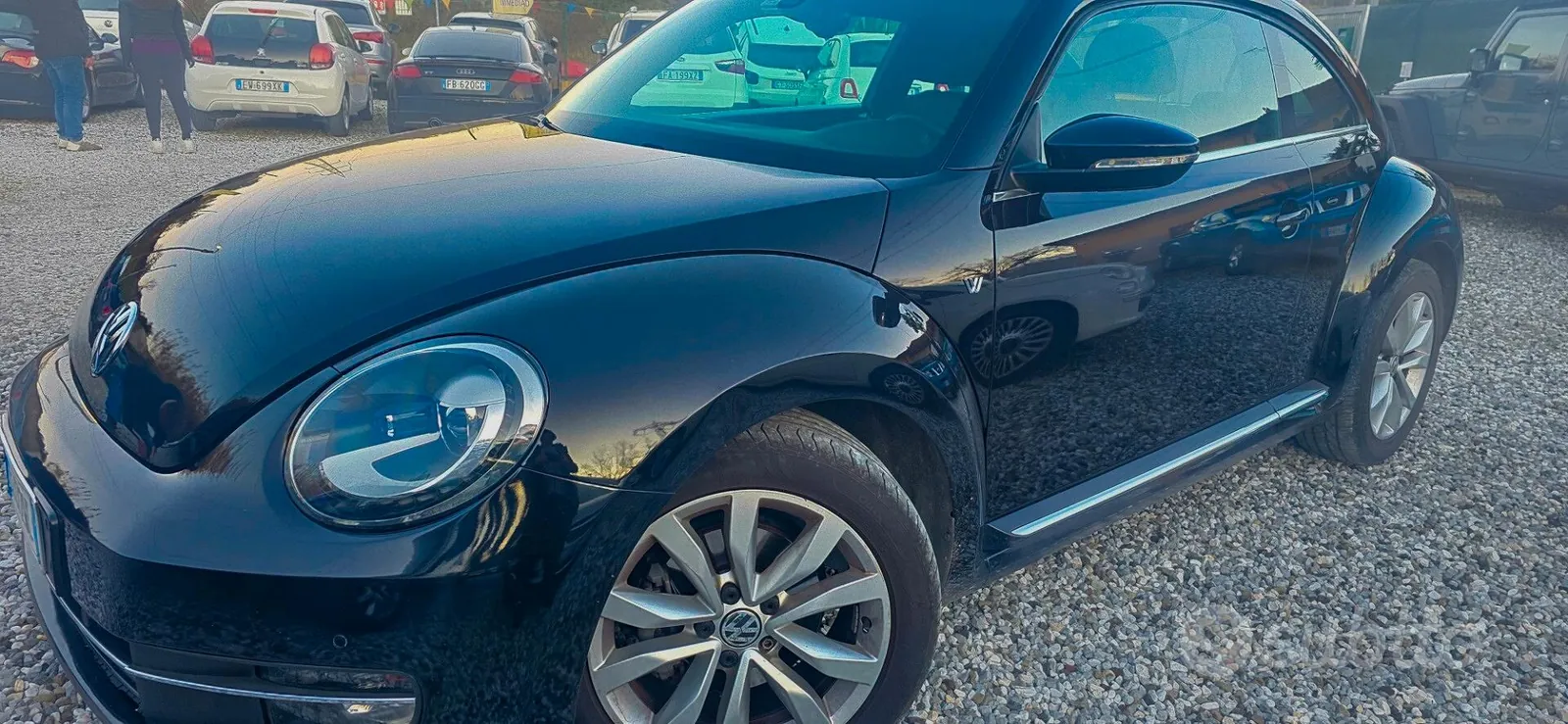 Volkswagen Maggiolino