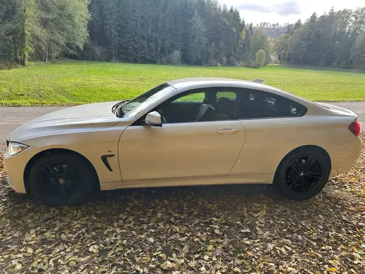 BMW 4 Series 2014 photo 3