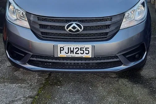 LDV G10