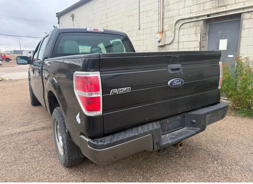 Ford F-150 2014 photo 3
