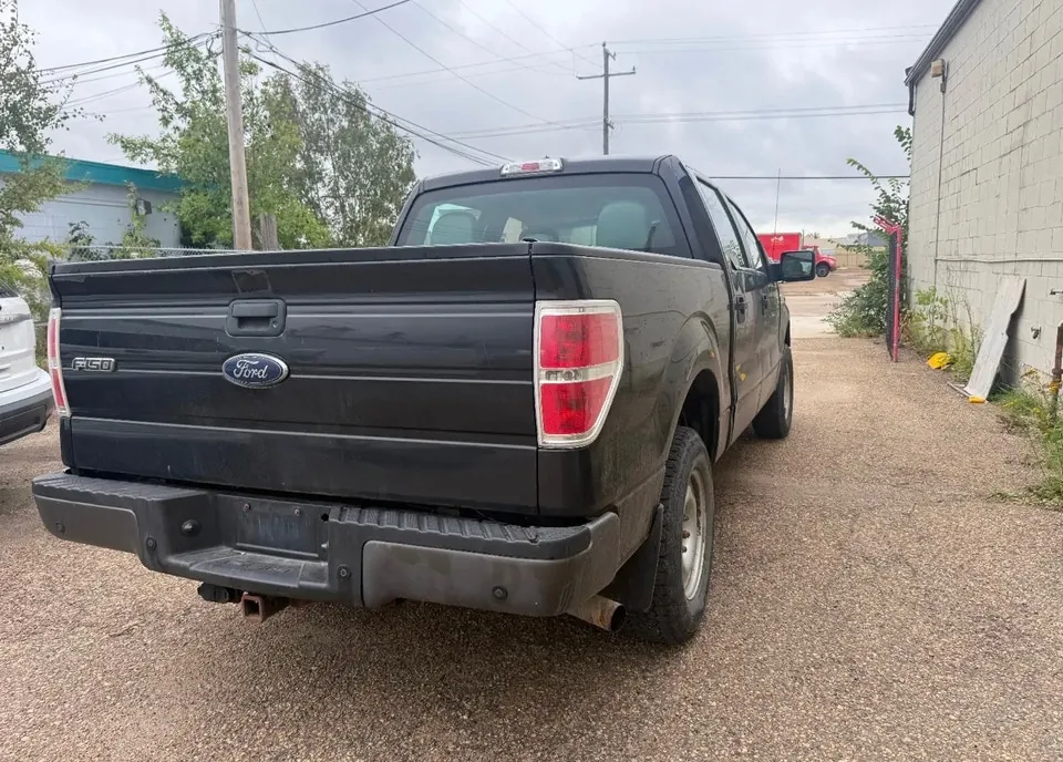 Ford F-150 2014 photo 4