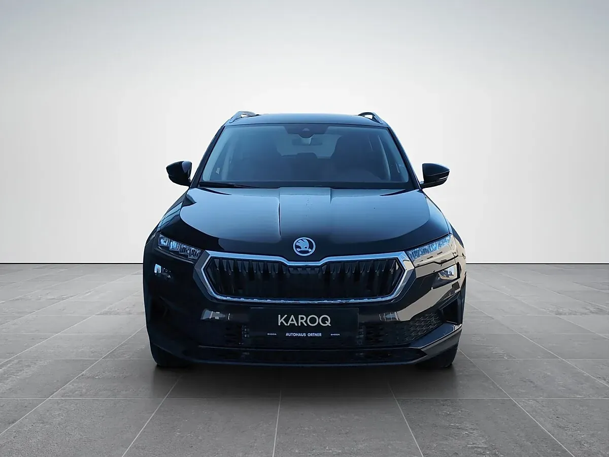 Skoda Karoq 2026 photo 2
