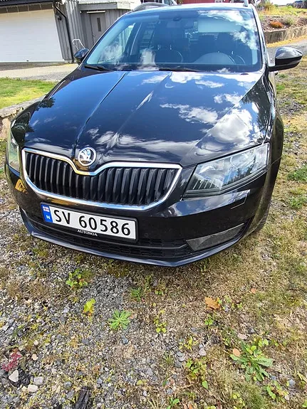 Skoda Octavia 2015 photo 2