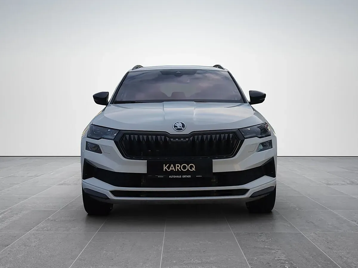 Skoda Karoq 2026 photo 2