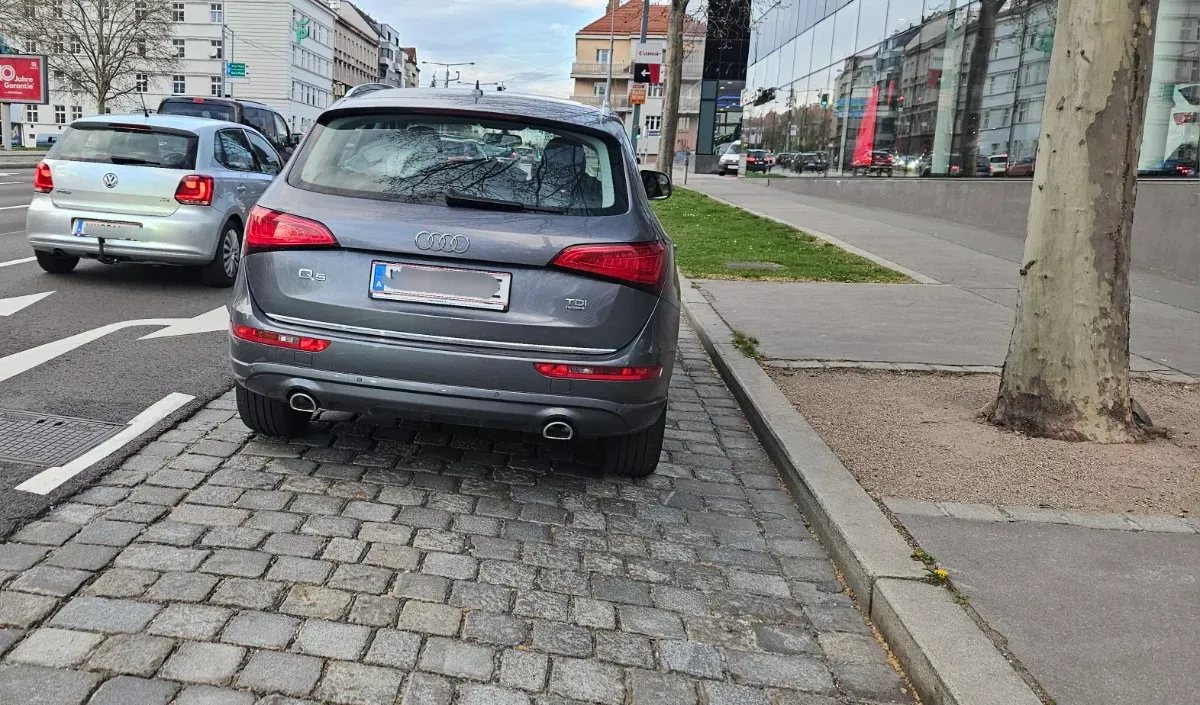Audi Q5 2014 photo 3