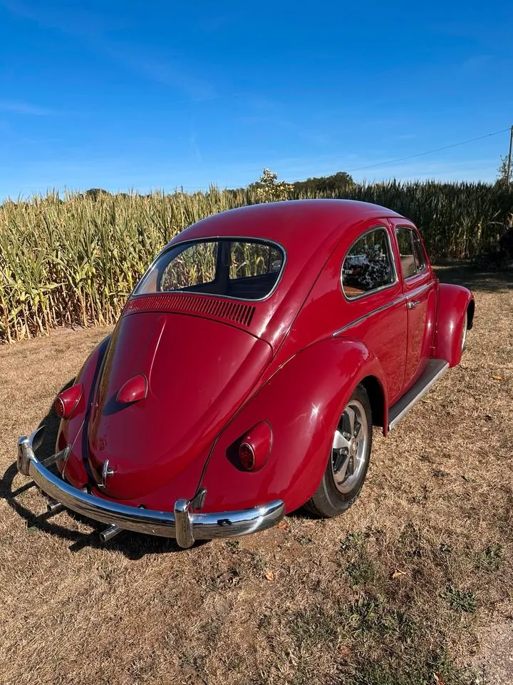 Volkswagen Käfer