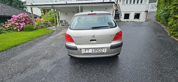 Peugeot 307 2006 photo 3