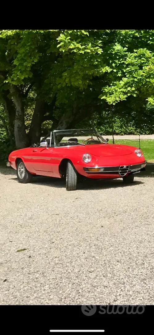 Alfa Romeo Spyder