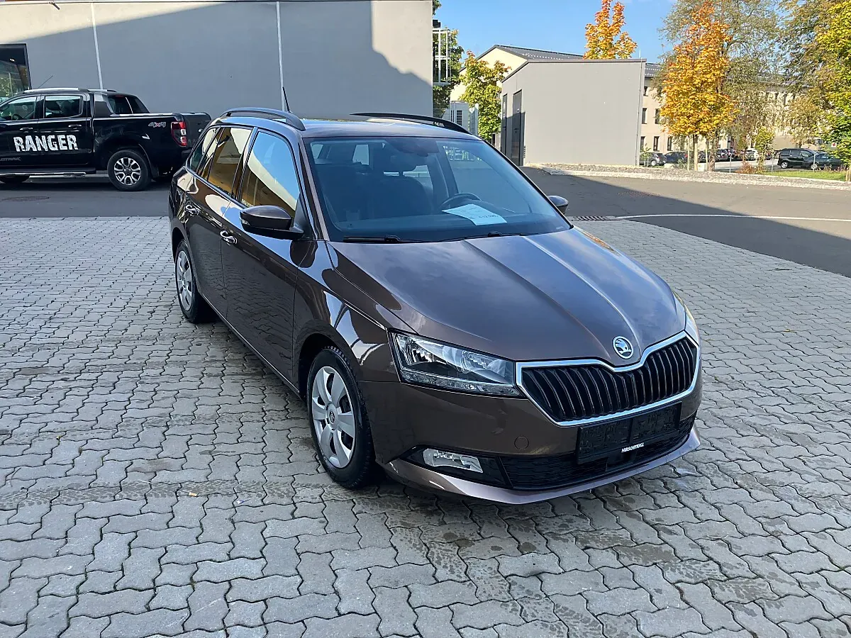 Skoda Fabia 2019 photo 2