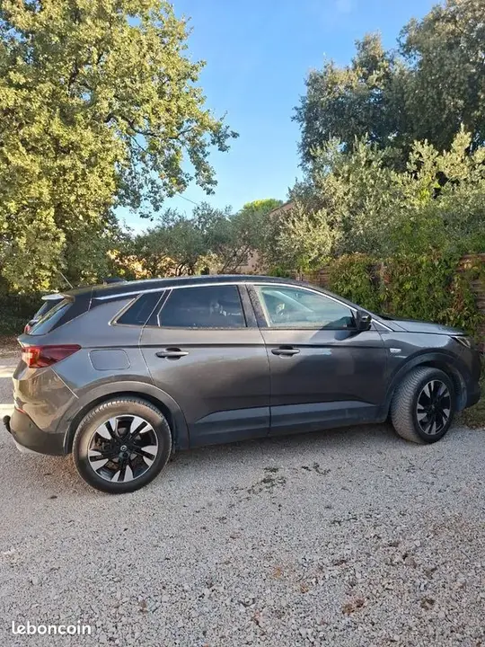 Opel Grandland X 2019 photo 2