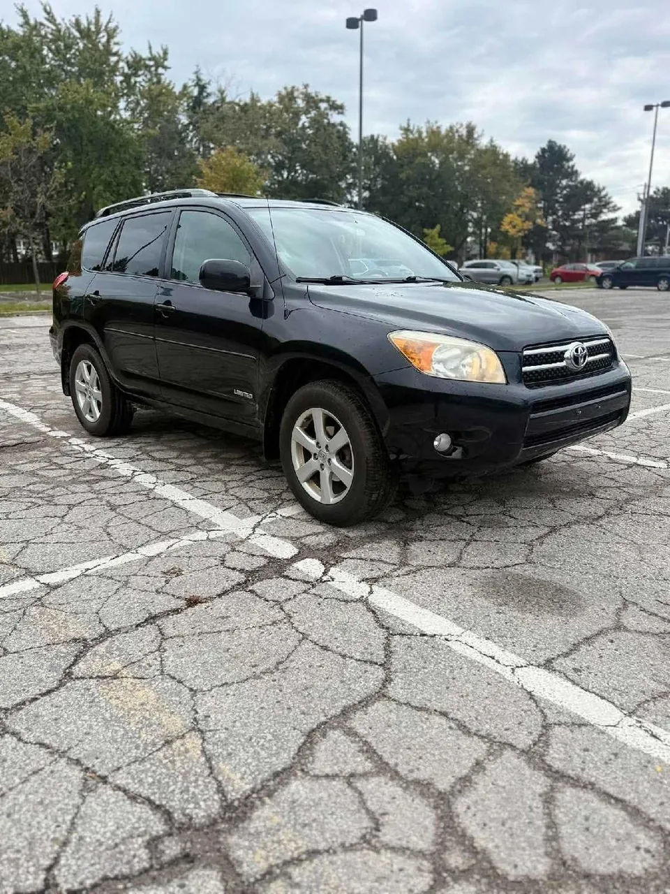 Toyota Rav4 2008 photo 3