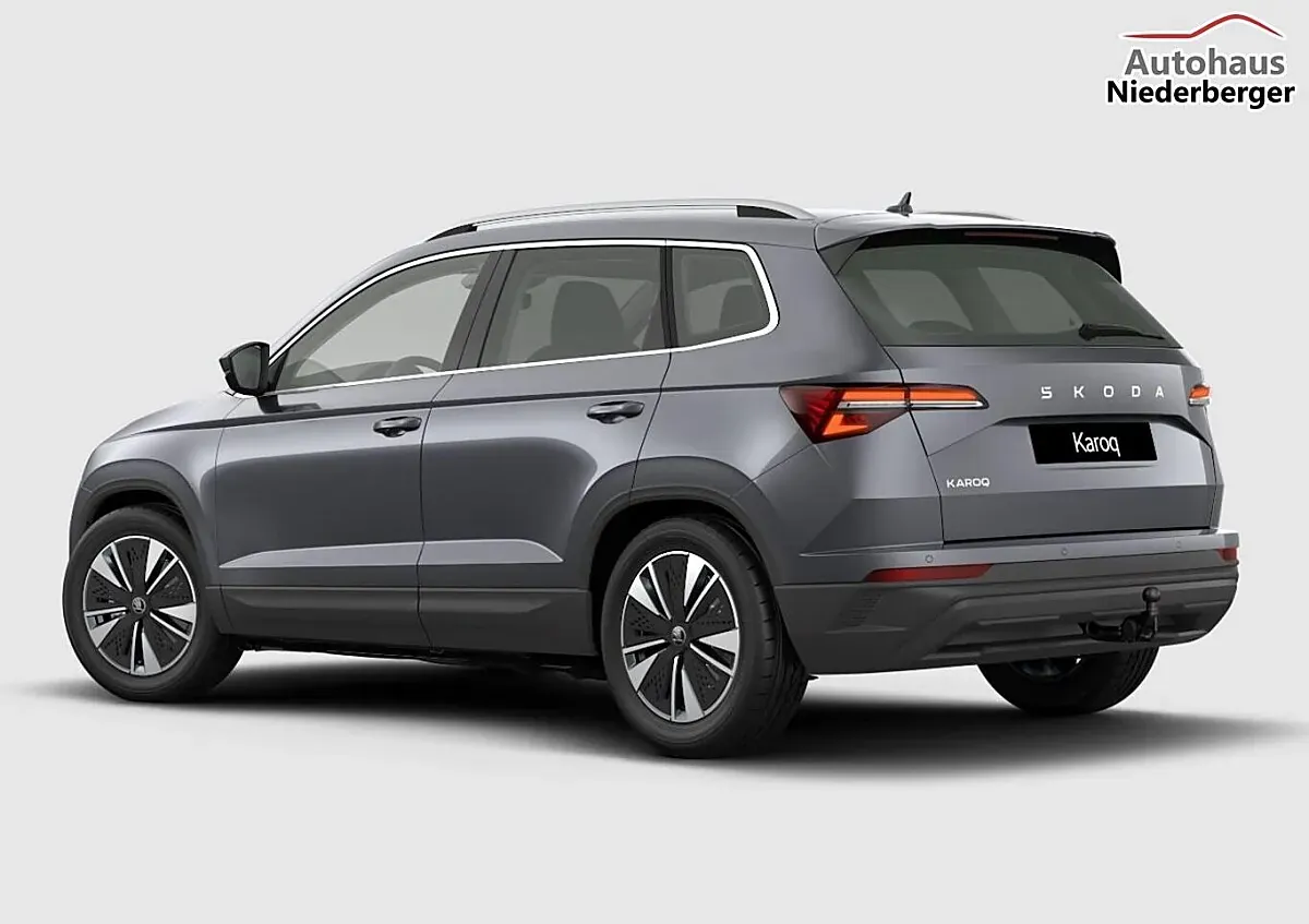 Skoda Karoq 2026 photo 3