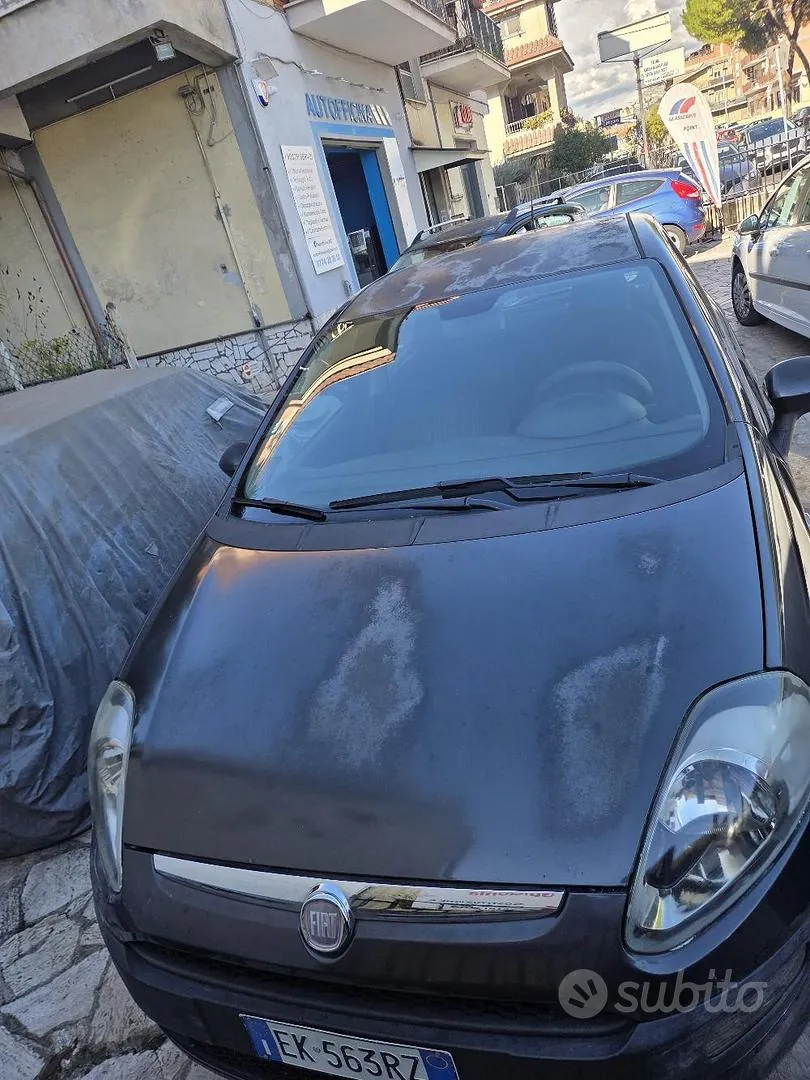 Fiat Punto 2012 photo 3