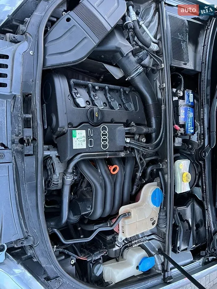 Audi A4 2005 photo 5