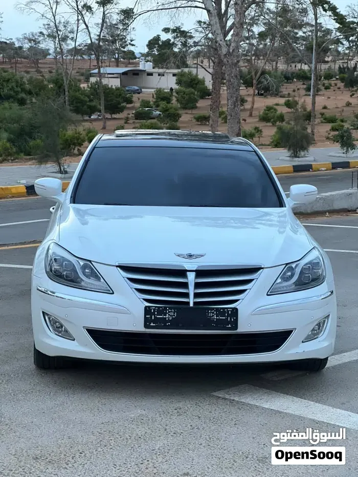 Genesis Sonata 2010 photo 2