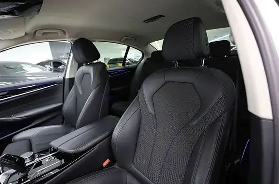 BMW 530E 2020 photo 5
