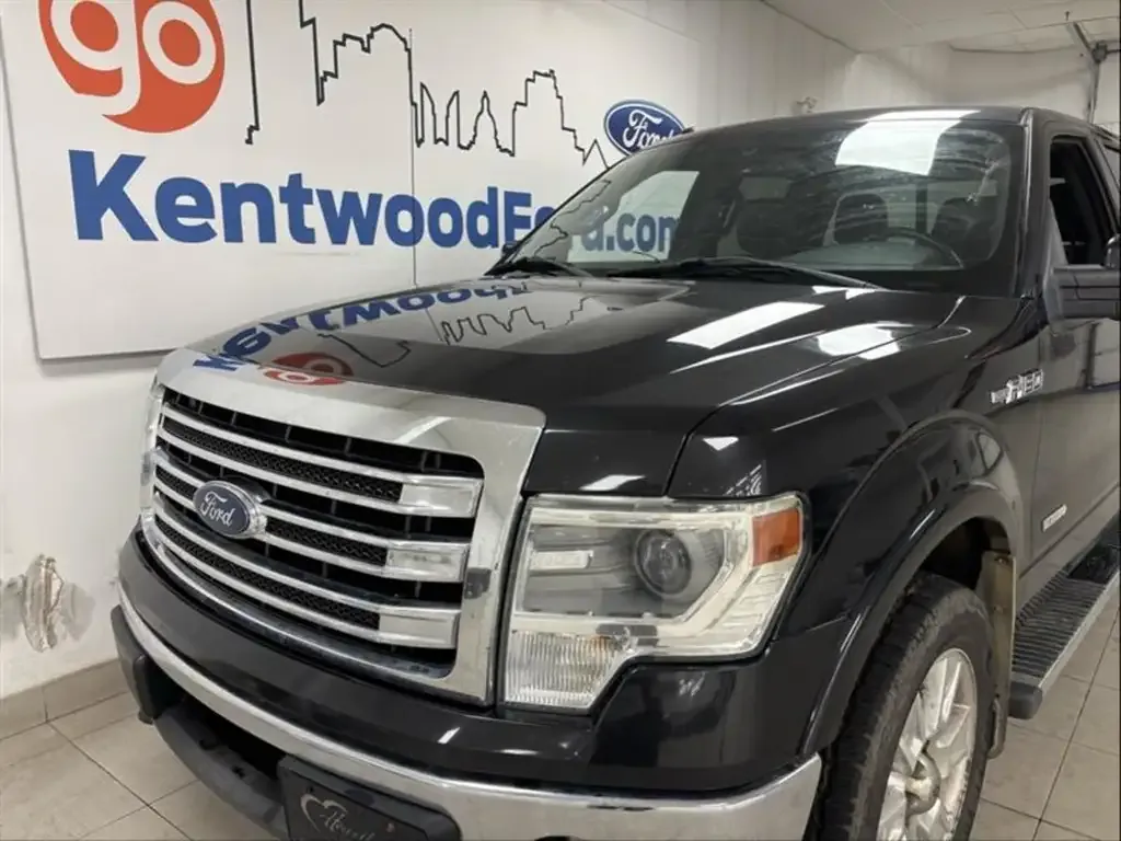 Ford F-150 2013 photo 3