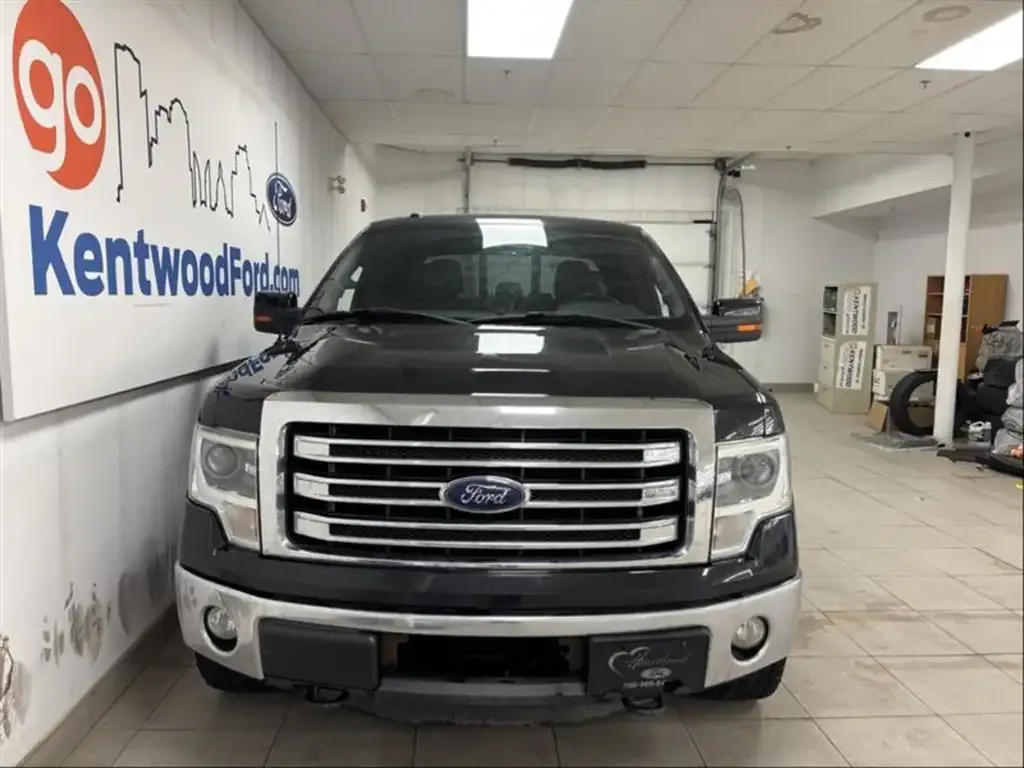 Ford F-150 2013 photo 2
