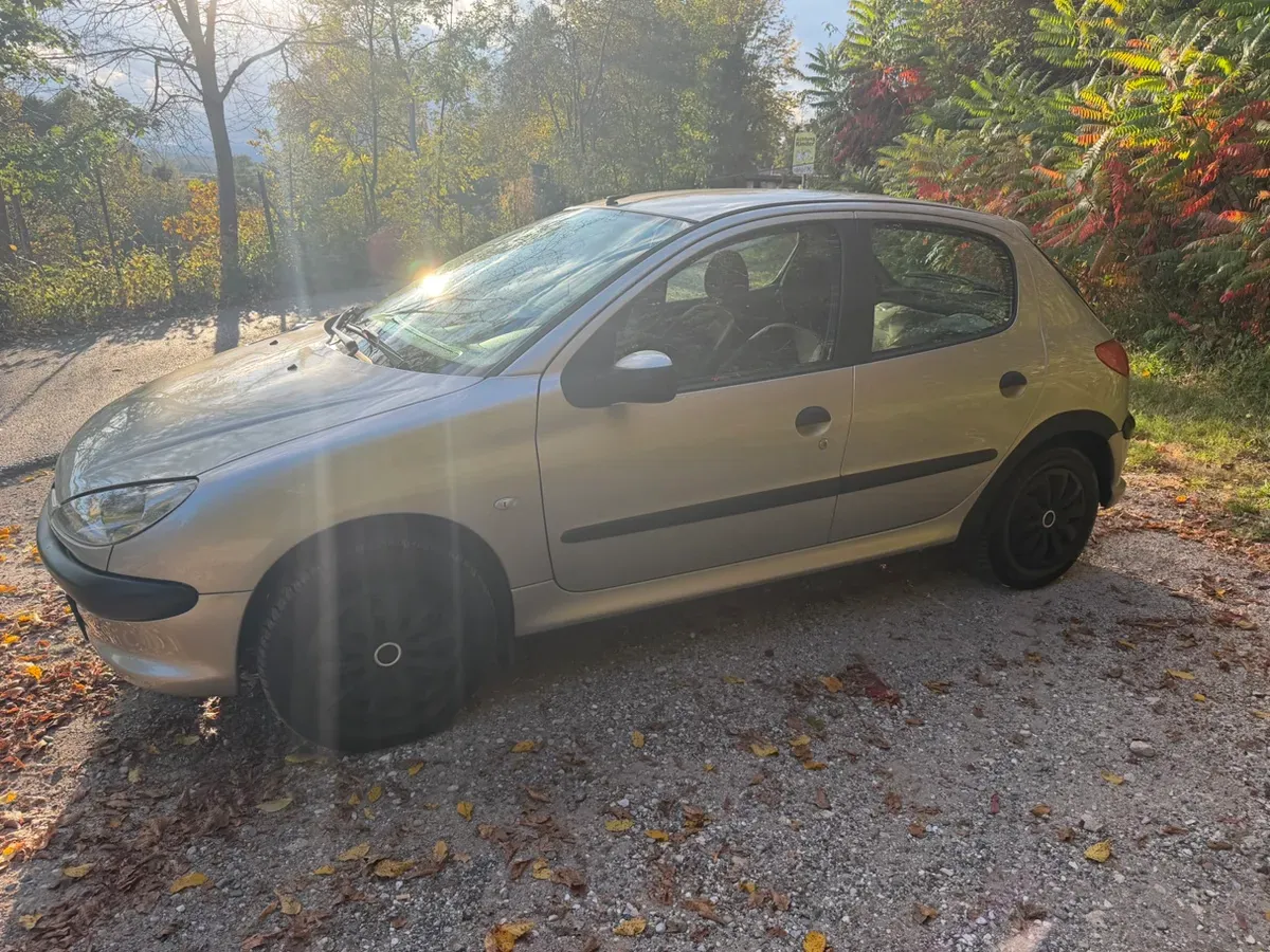 Peugeot 206 2006 photo 2