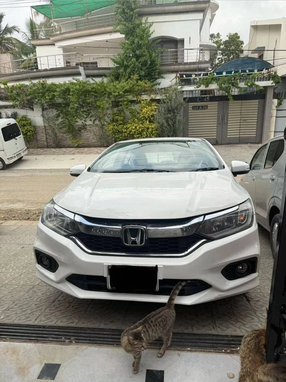 Honda City