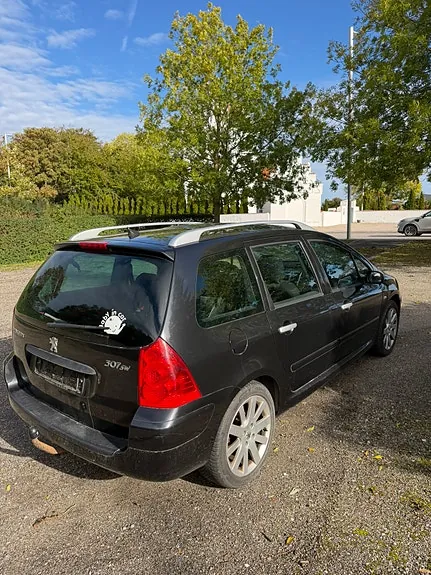 Peugeot 307 2005 photo 2