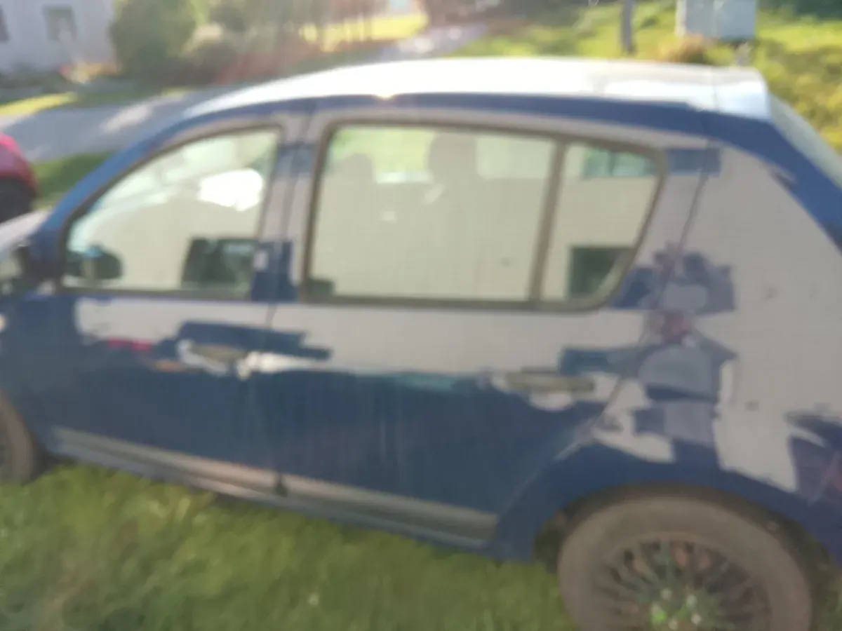 Dacia Sandero 2009 photo 3