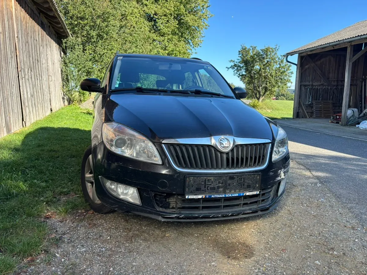 Skoda Fabia 2013 photo 2