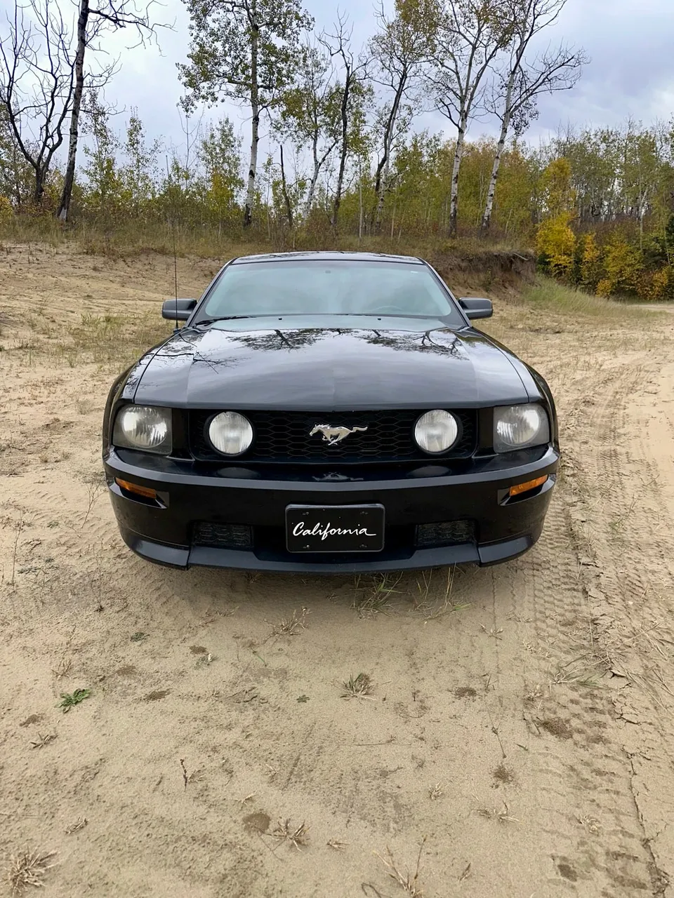 Ford Mustang 2008 photo 2