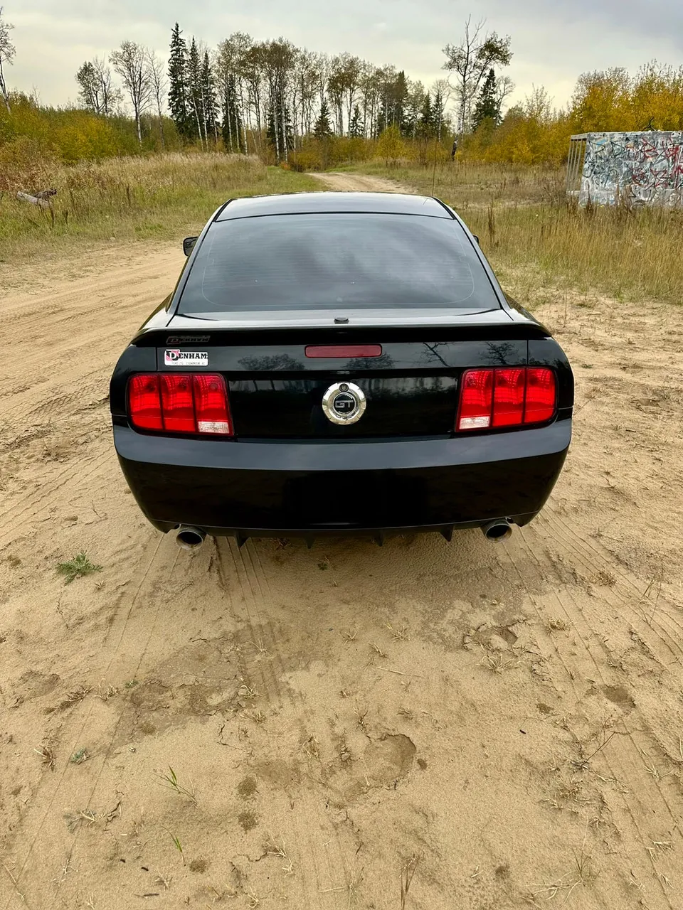 Ford Mustang 2008 photo 4