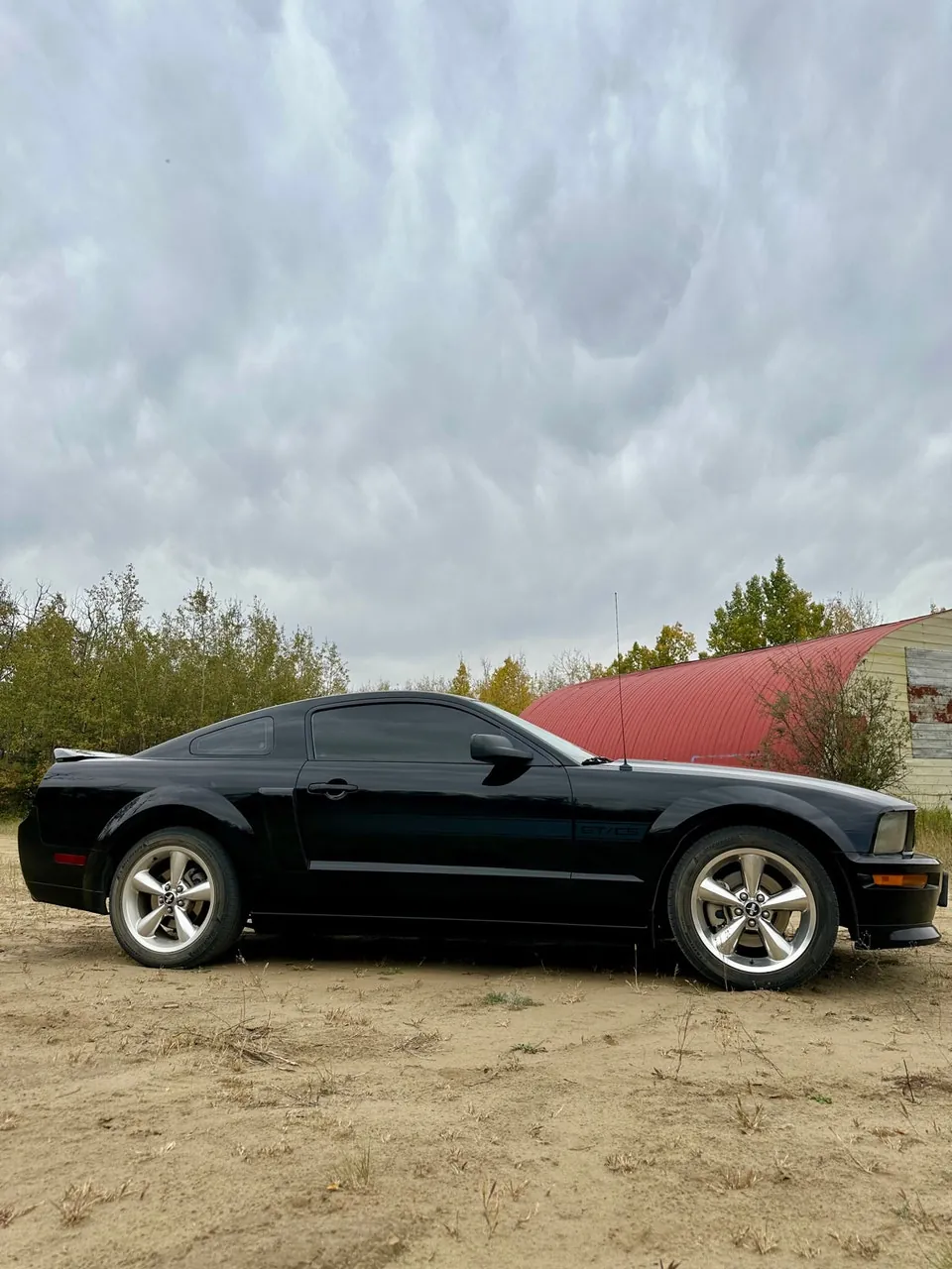 Ford Mustang 2008 photo 3
