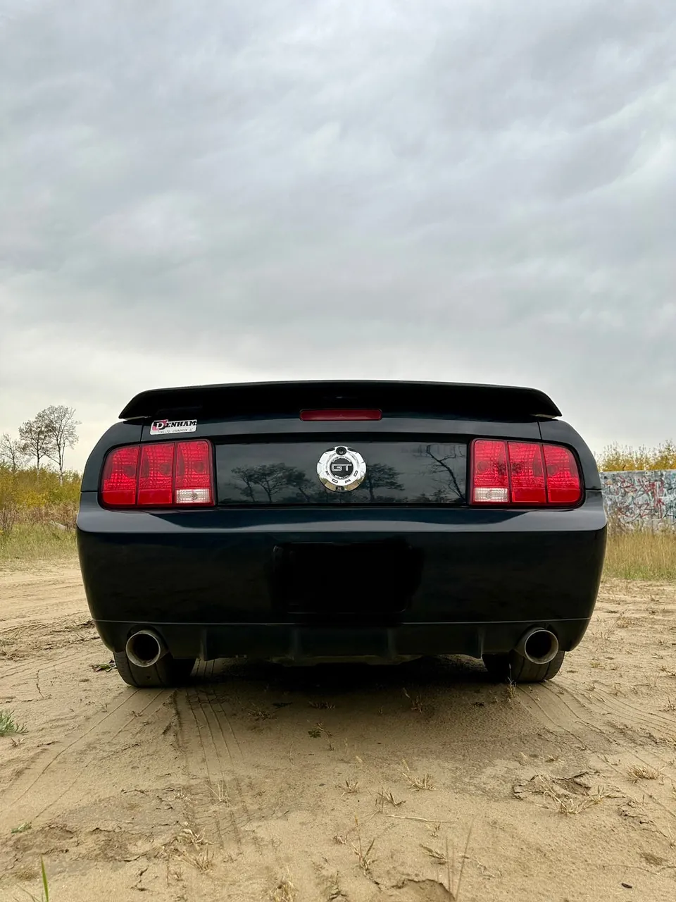 Ford Mustang 2008 photo 5