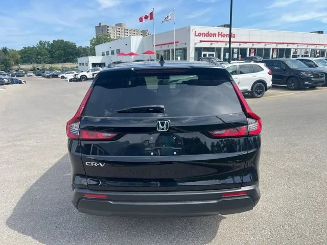 Honda Cr-V 2024 photo 5