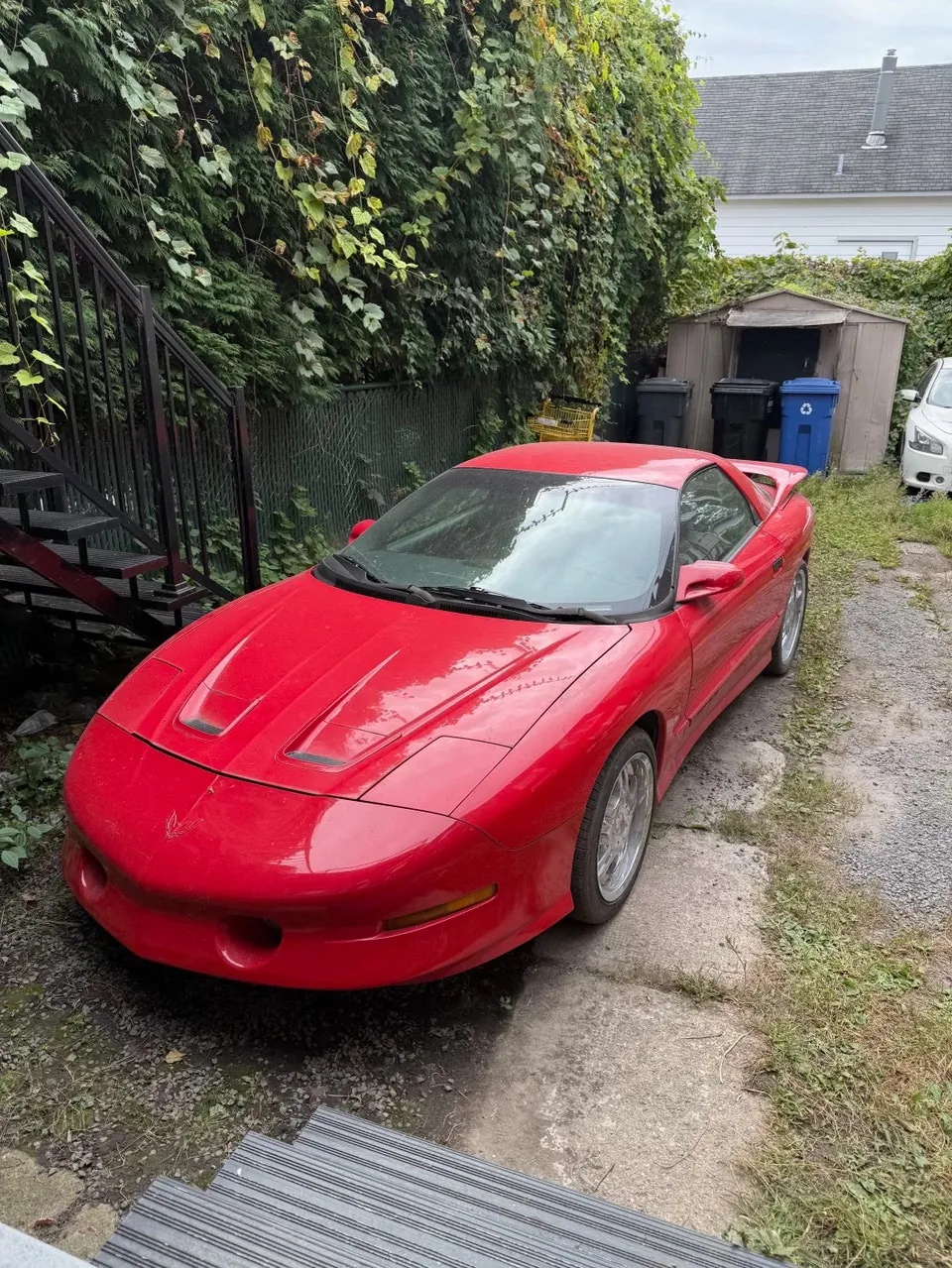 Pontiac Firebird 1994 photo 5