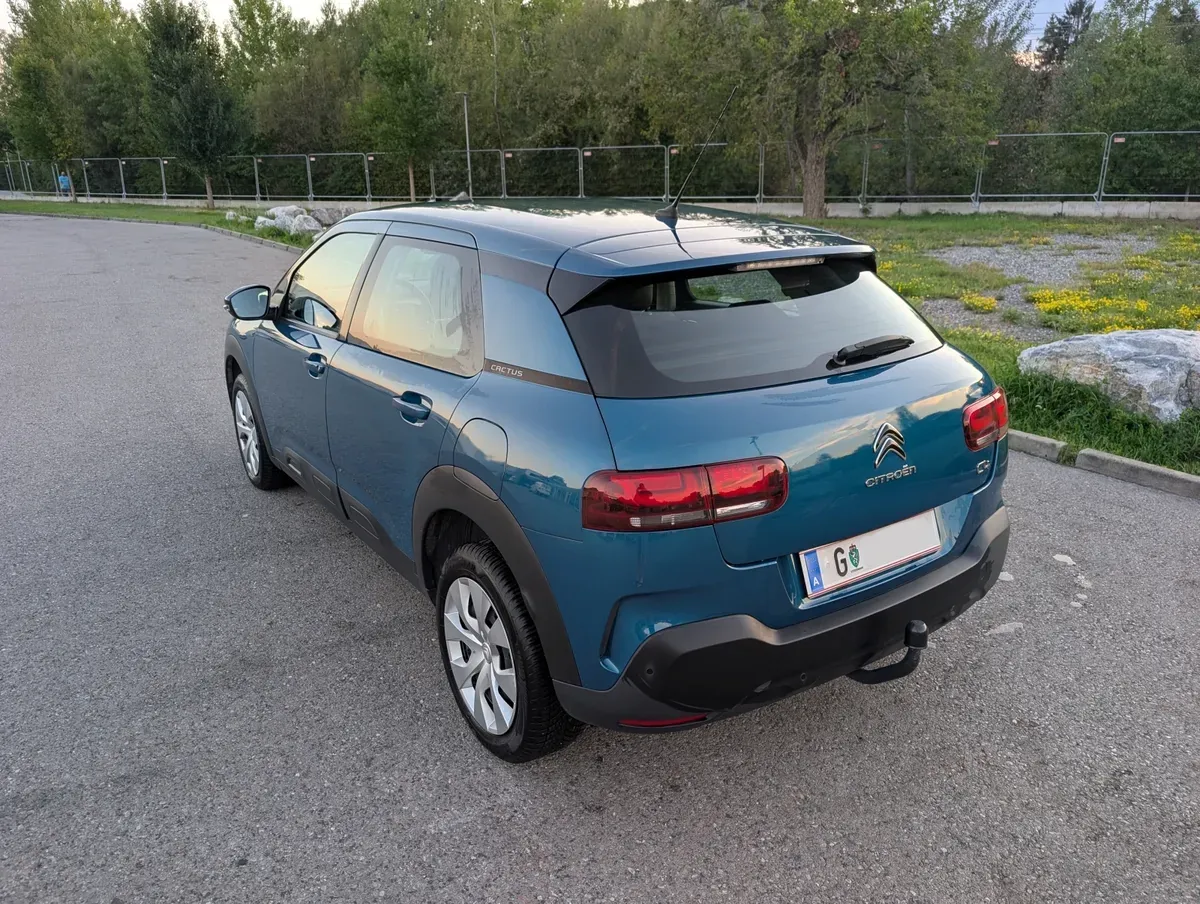 Citroen C4 Cactus 2019 photo 3