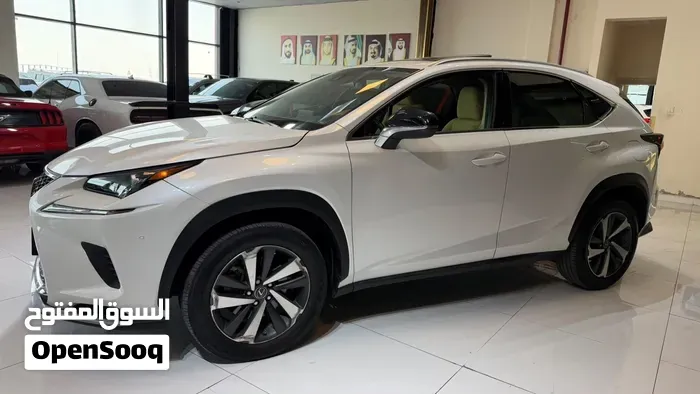 Lexus Nx 300 2020 photo 4