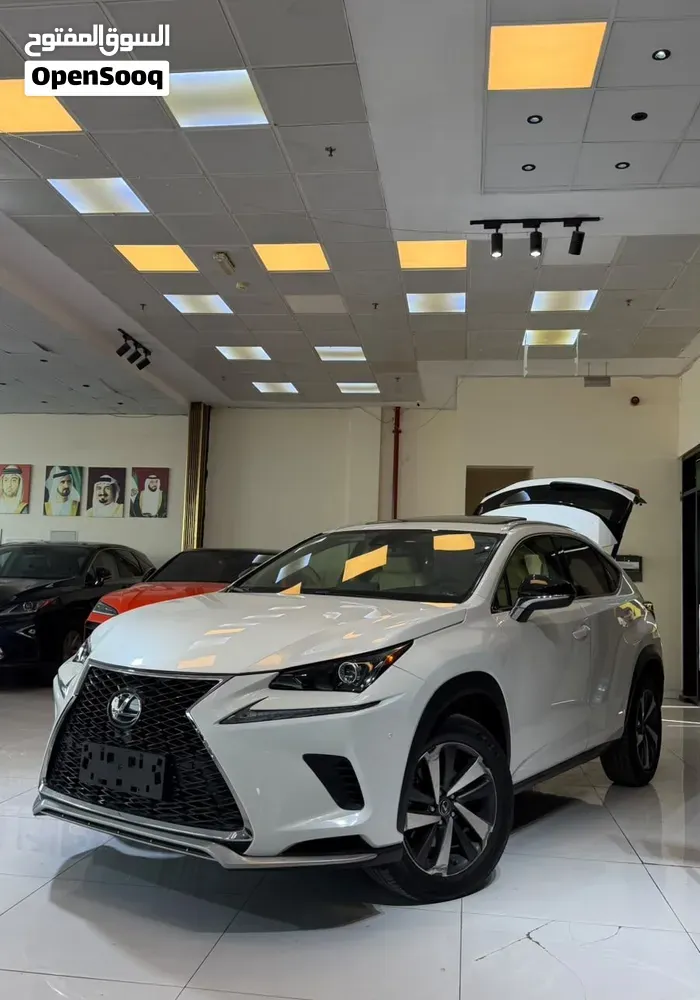 Lexus Nx 300 2020 photo 2