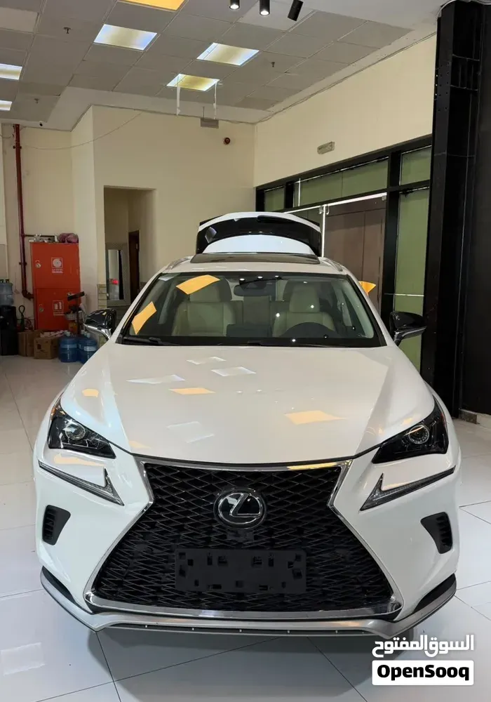Lexus Nx 300 2020 photo 3