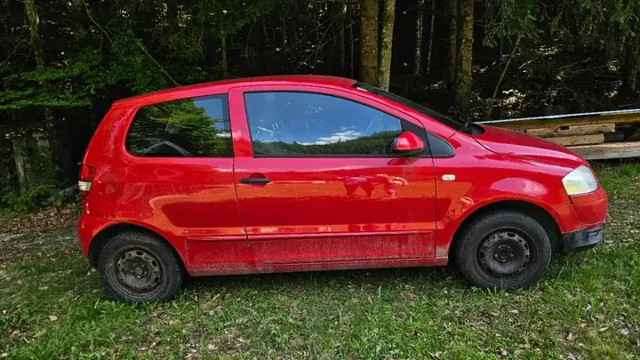 Volkswagen Fox 2010 photo 2