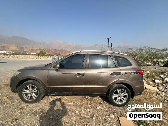 Hyundai Santa Fe 2010 photo 4