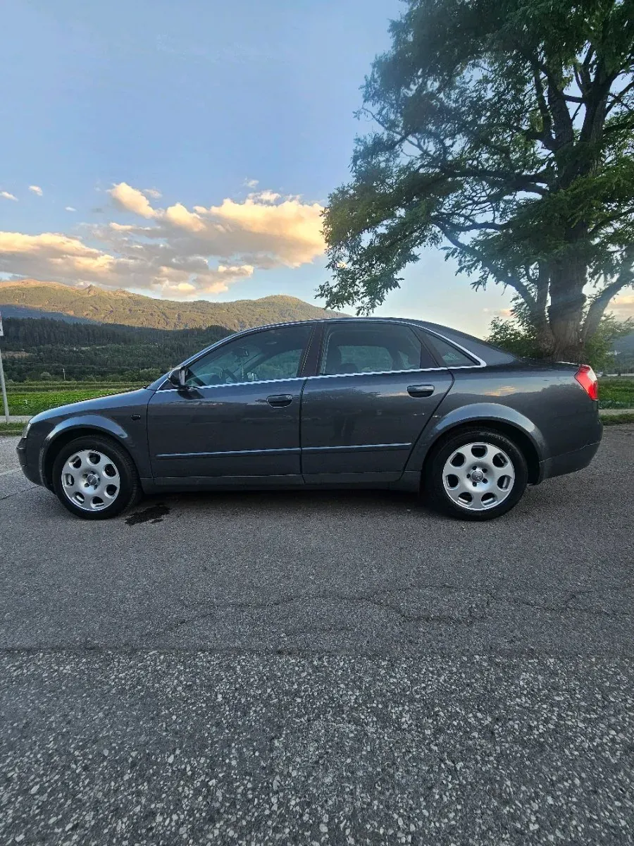 Audi A4 2004 photo 2